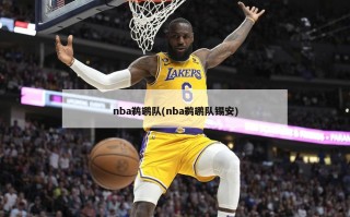 nba鹈鹕队(nba鹈鹕队锡安)